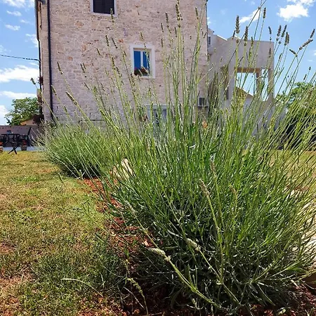 House La Vie App No 1 Apartment Umag